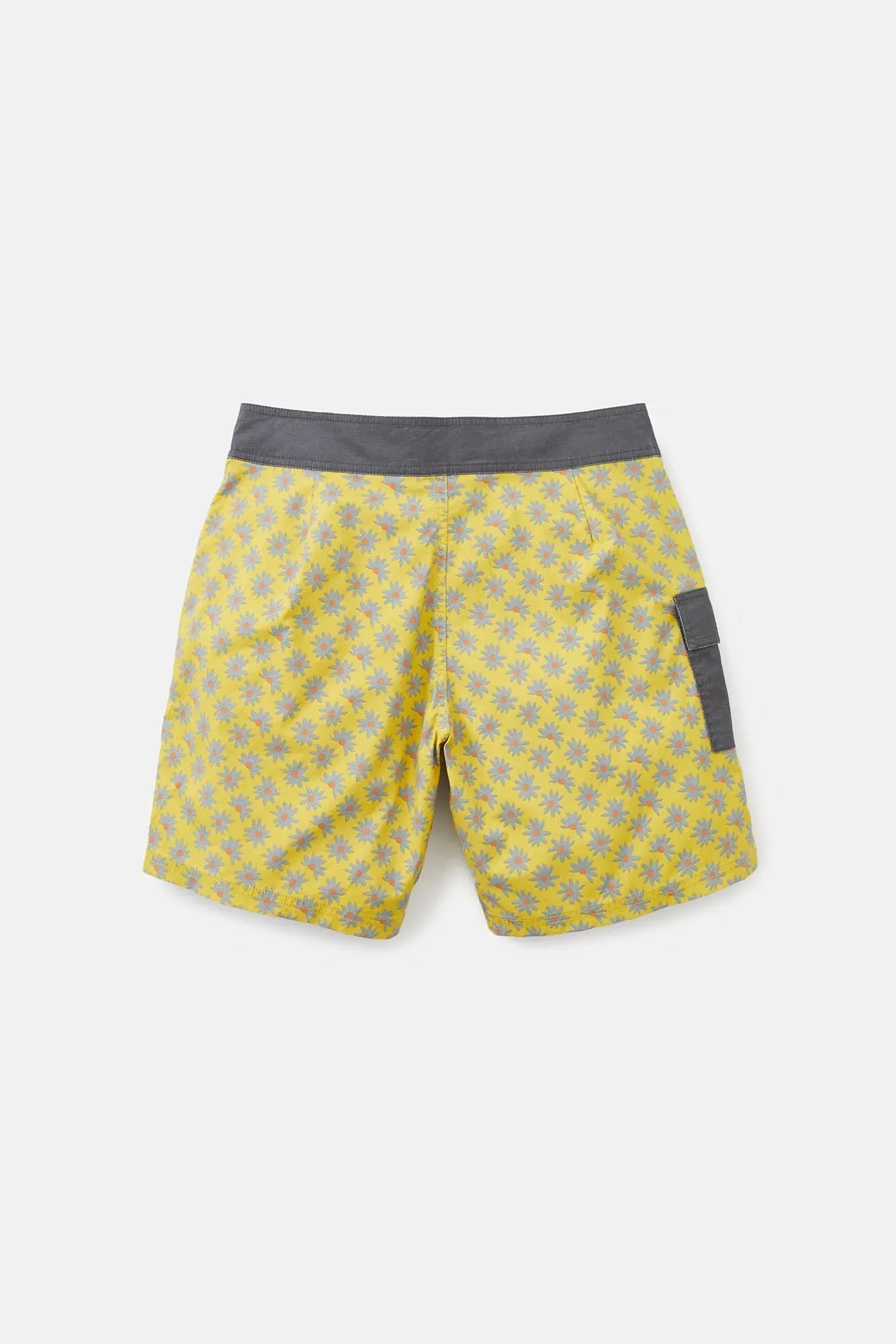 Mache Trunk