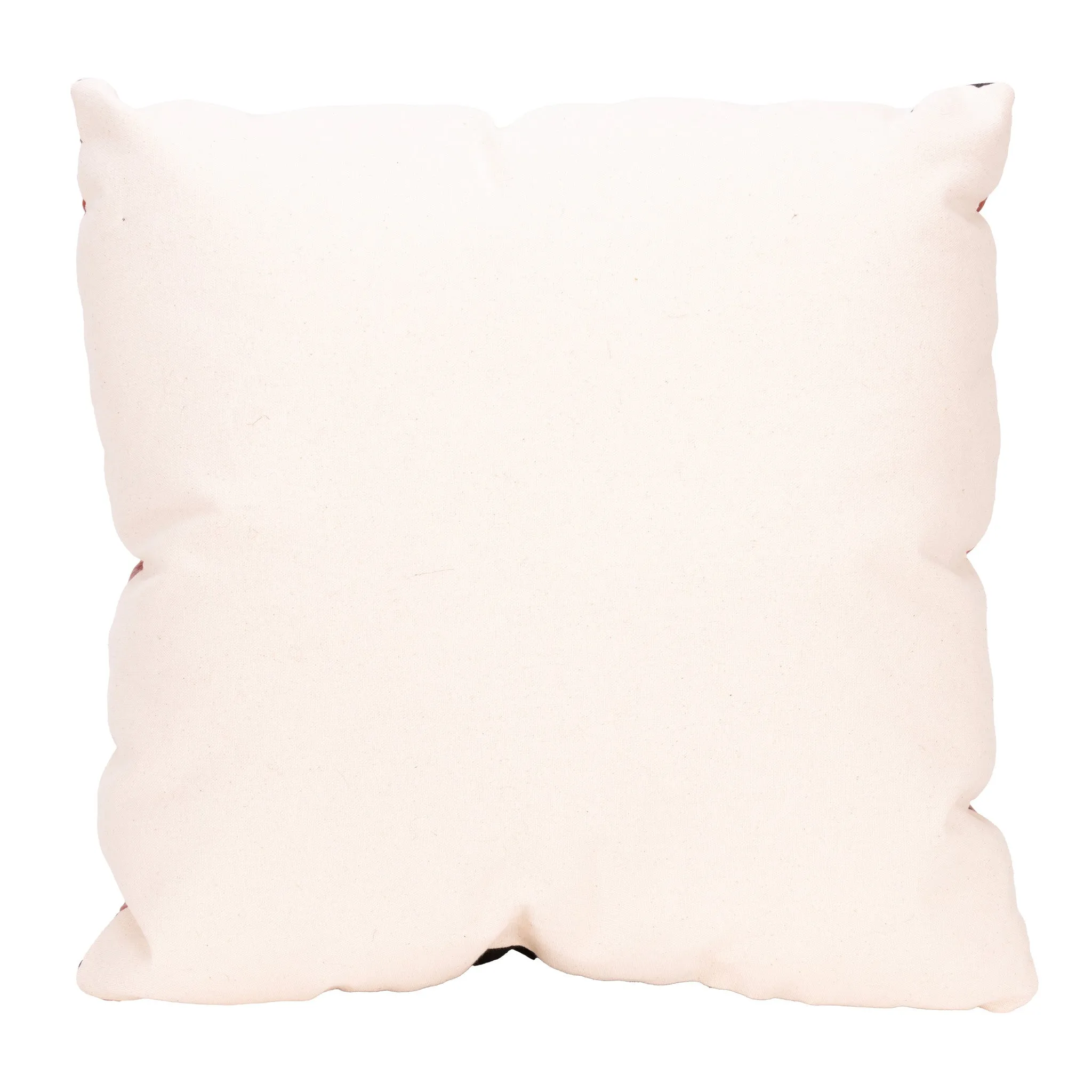 Navajo Transitional Pillow