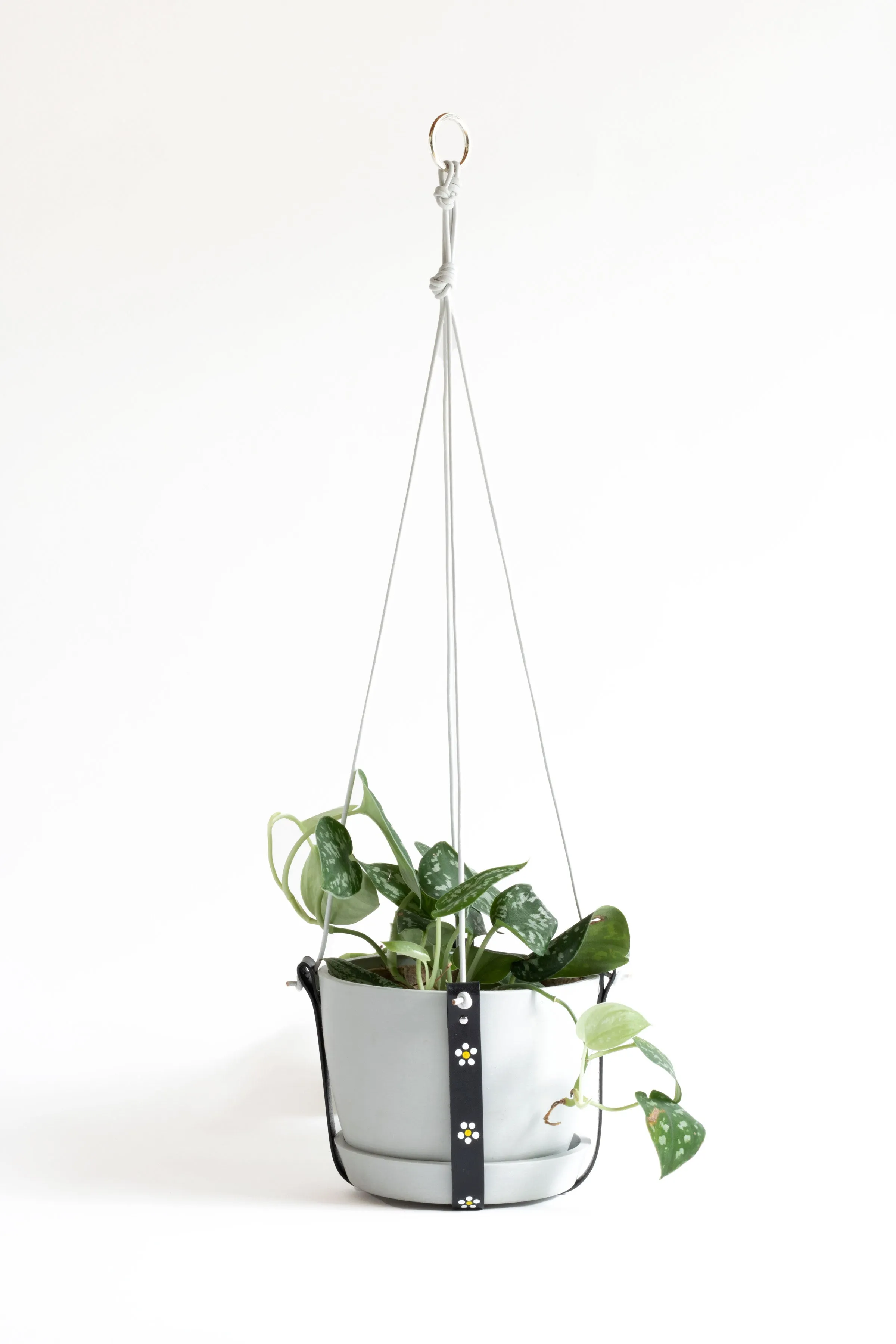 Plant Hanger Daisy