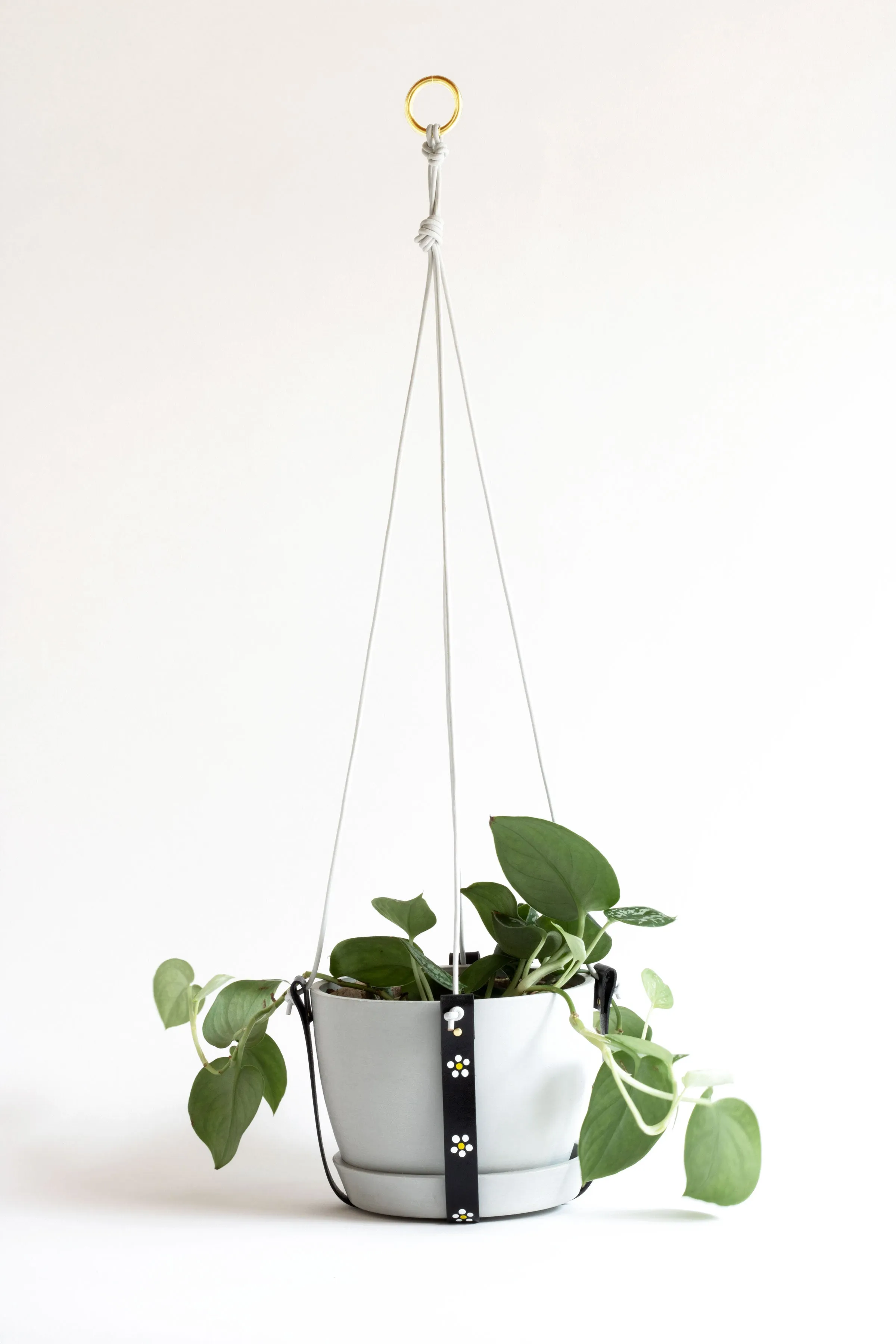 Plant Hanger Daisy