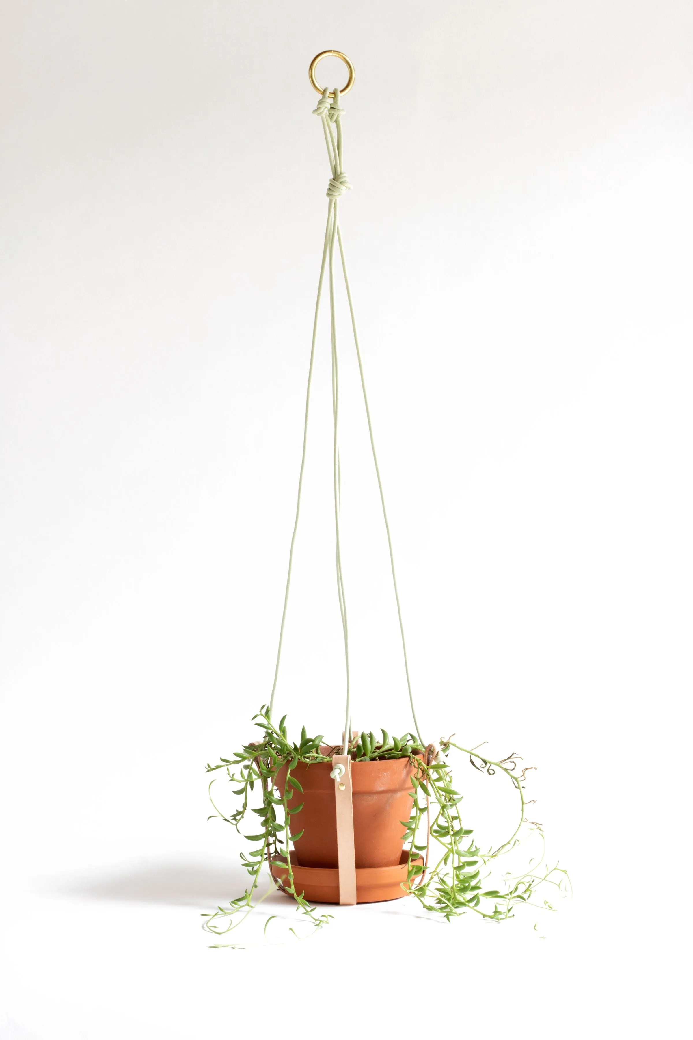 Plant Hanger