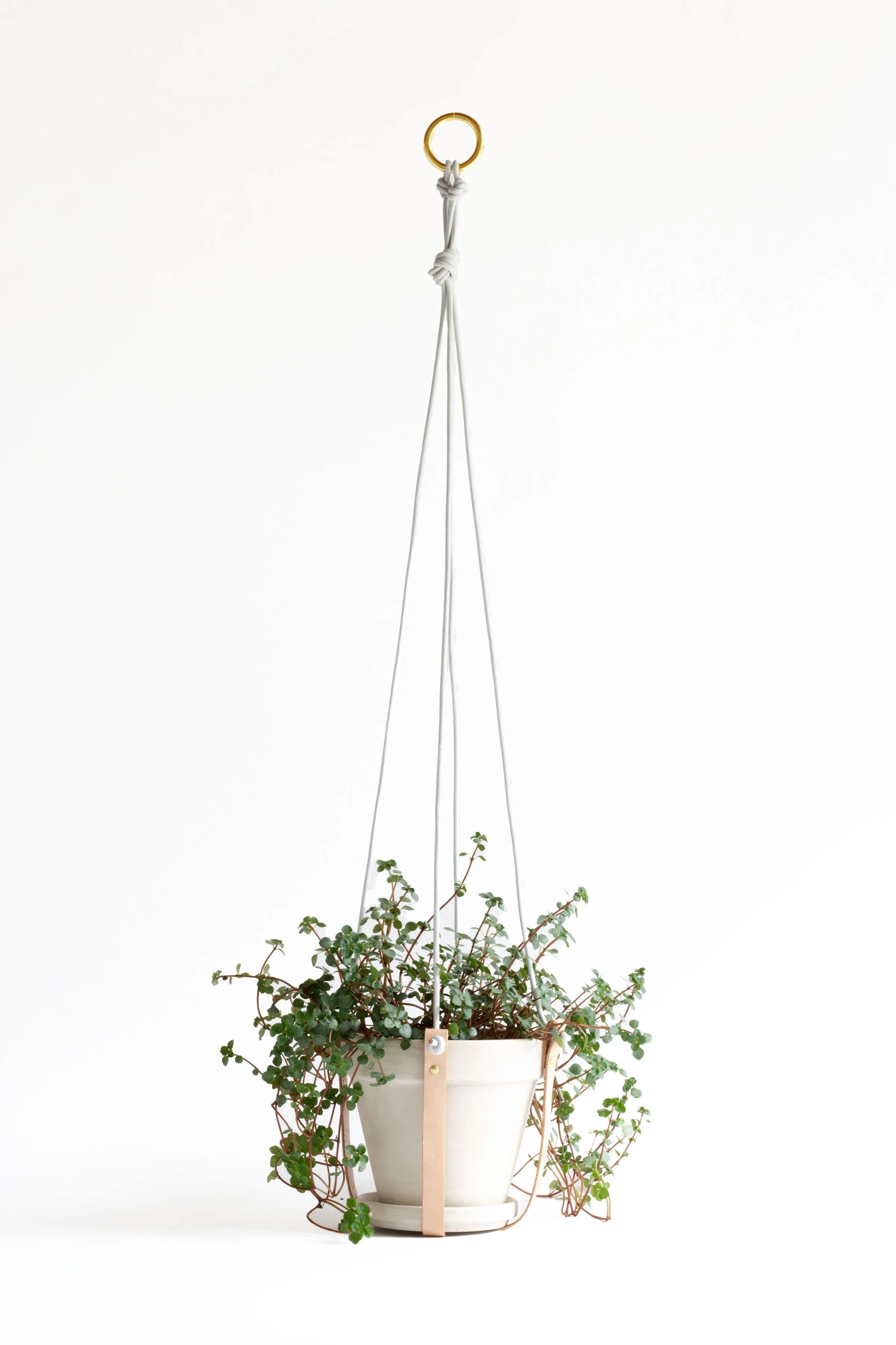 Plant Hanger