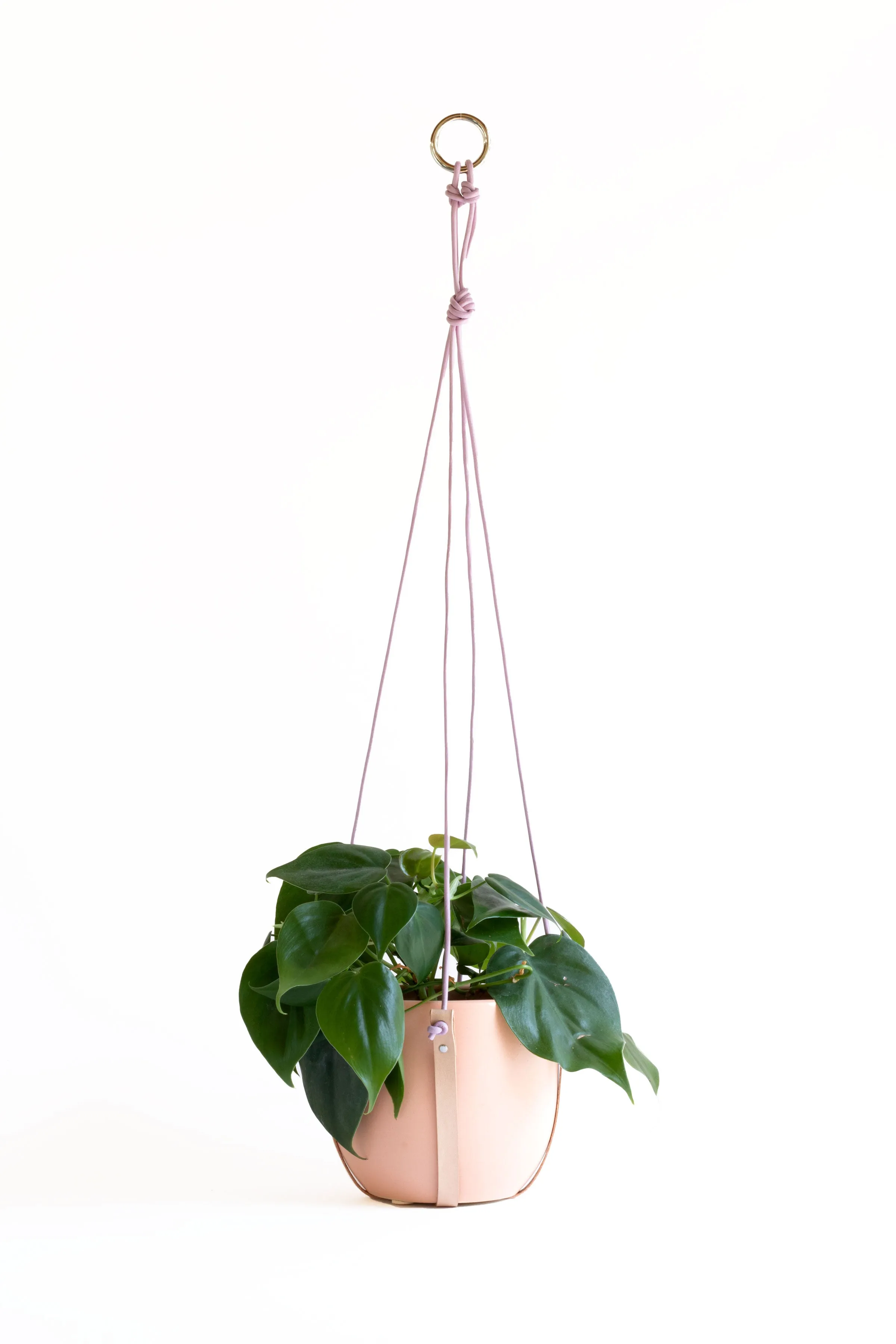 Plant Hanger