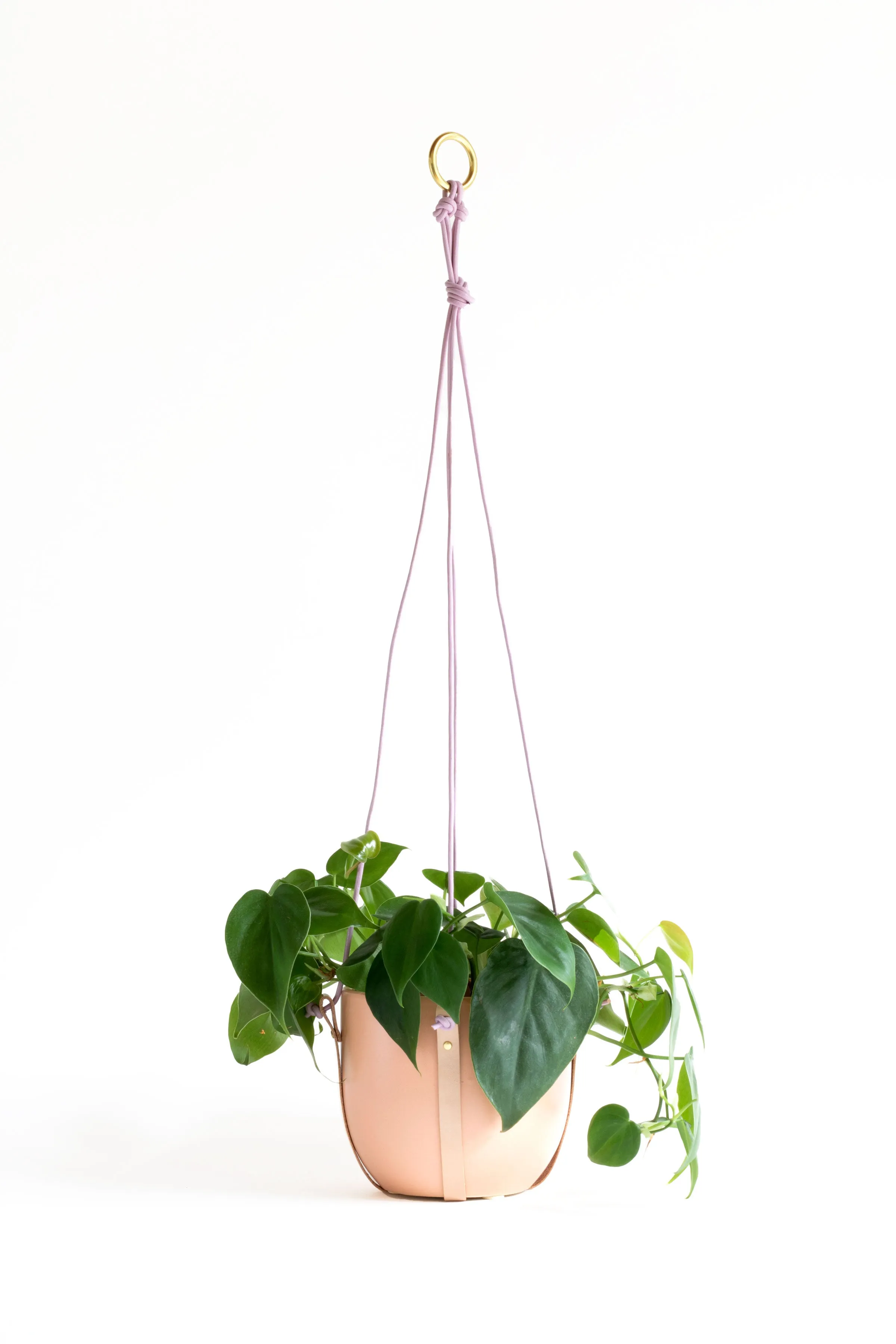 Plant Hanger