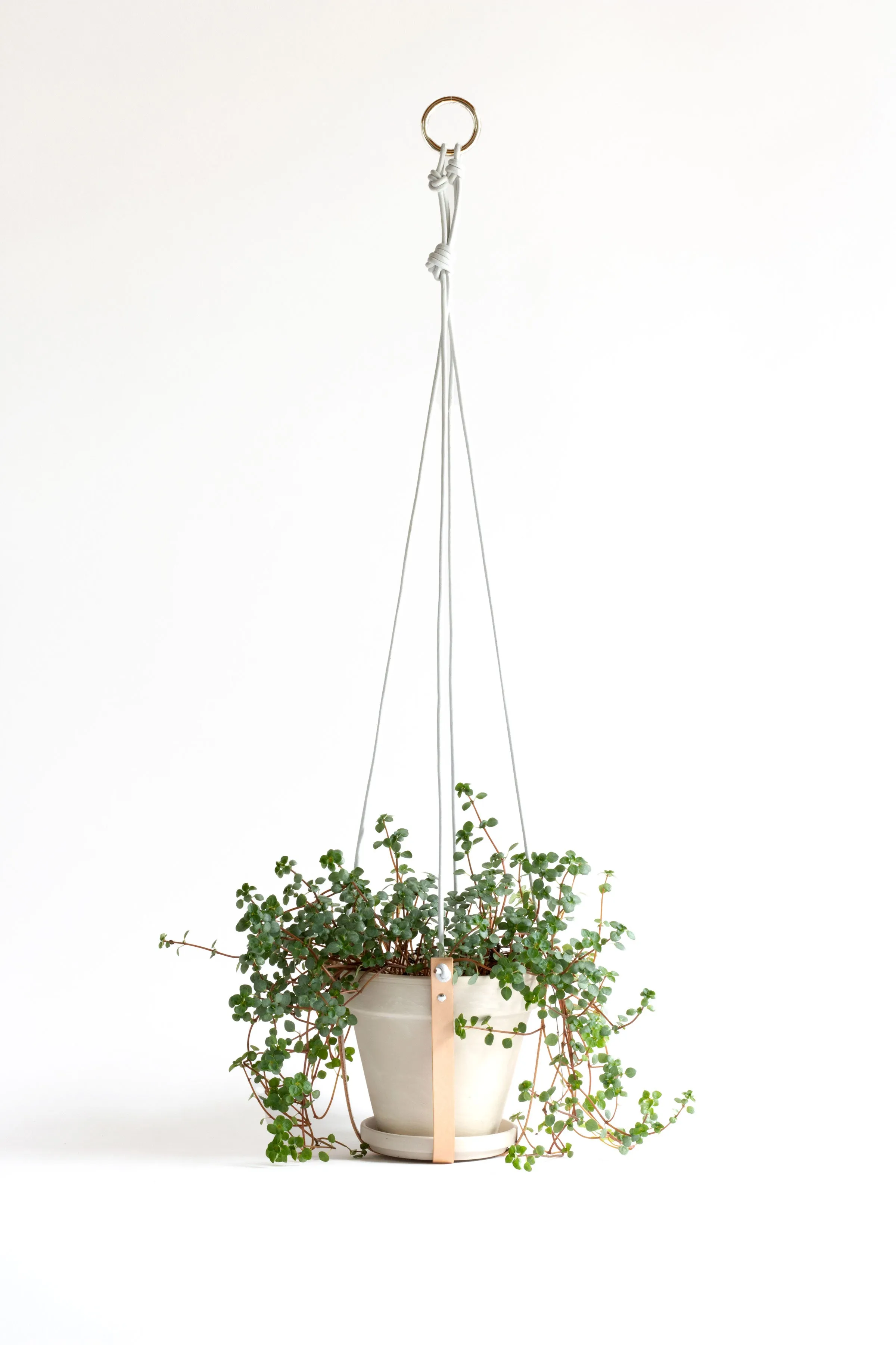Plant Hanger