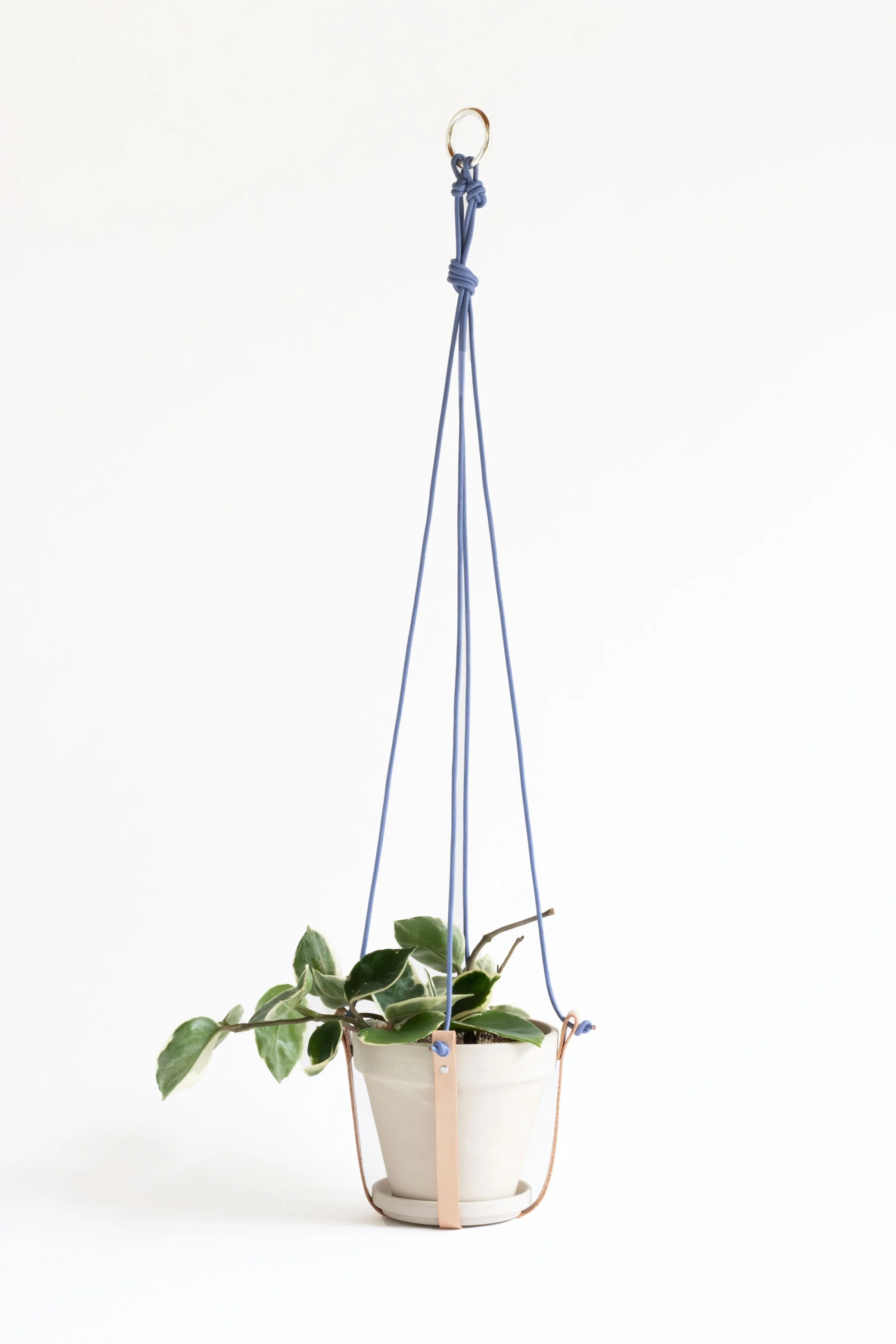 Plant Hanger