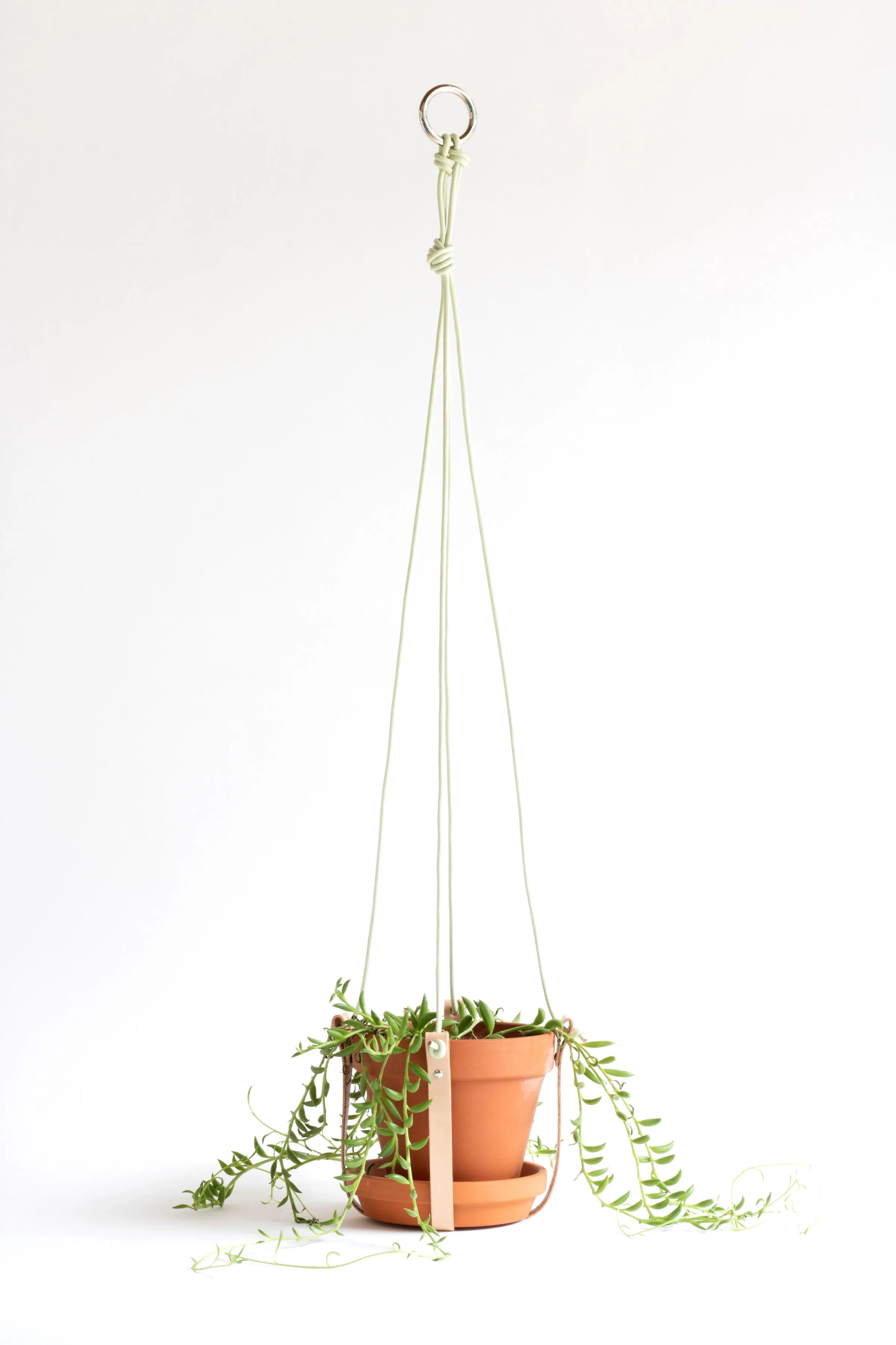 Plant Hanger