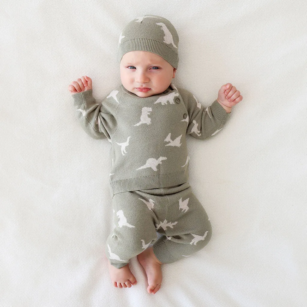 Posh Peanut Poshosaurus Kimono Sweater, Legging & Beanie Set