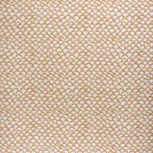 Roche-Ochre