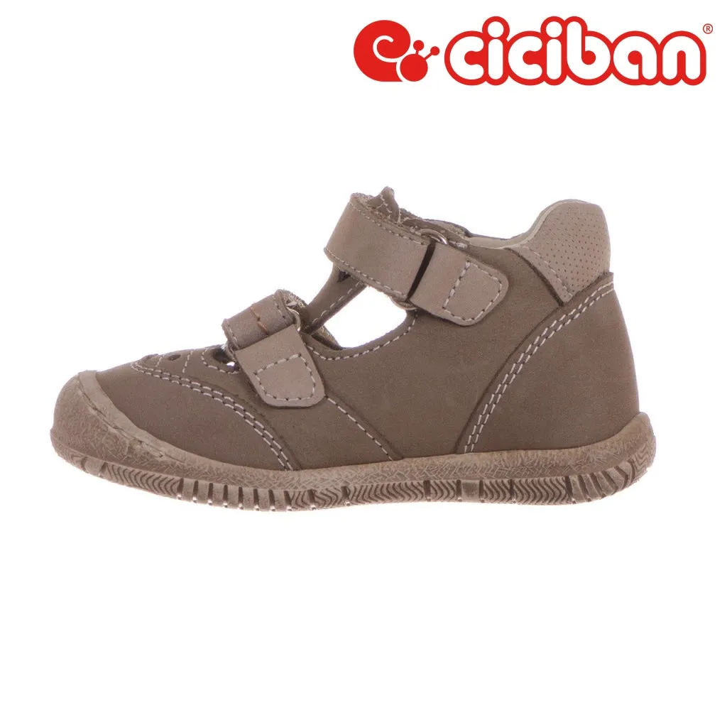 Rolly Kaki 77