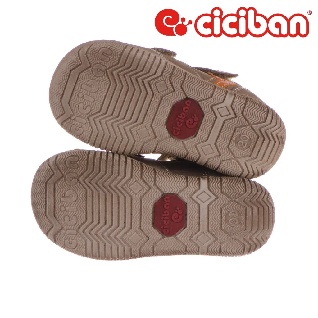 Rolly Kaki 77