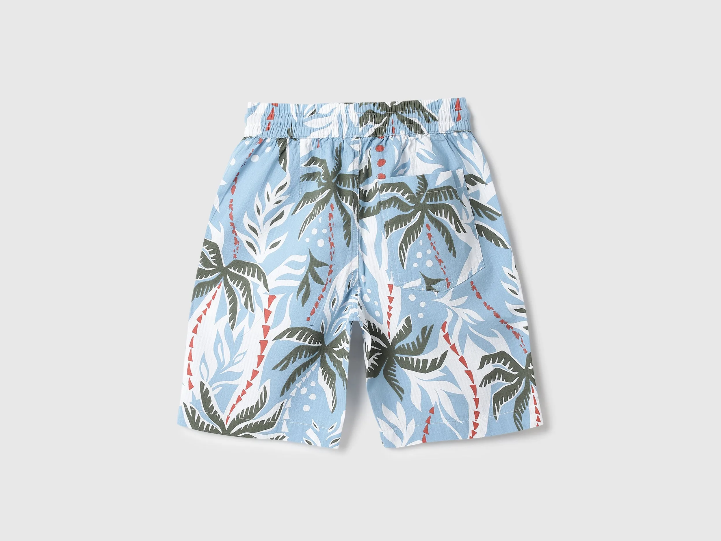 Seersucker Palm Print Regular Fit Beach Shorts
