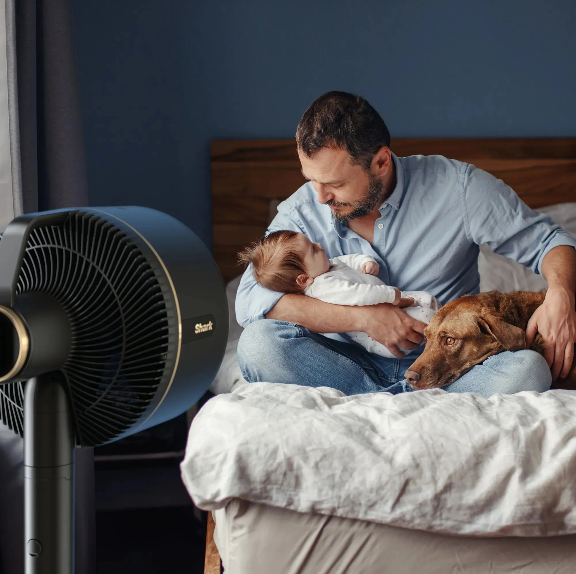 Shark FlexBreeze Fan