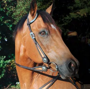 SIERRA Cookie & Cream Double Ear Headstall