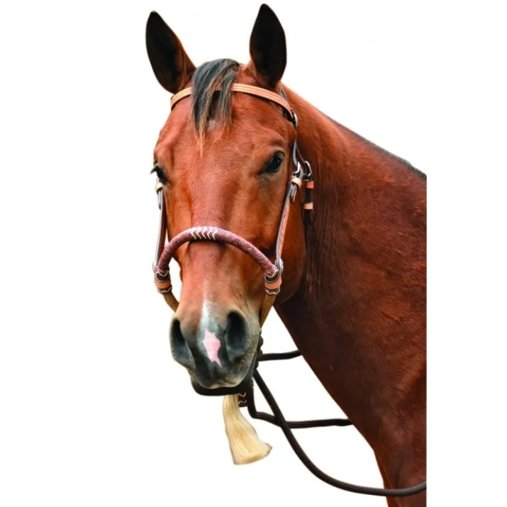 SIERRA Flower Headstall with Bosal