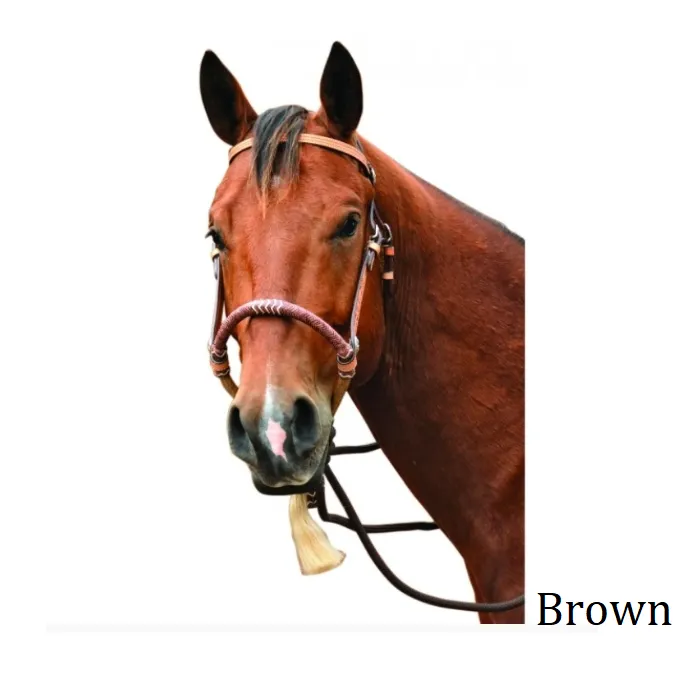 SIERRA Flower Headstall with Bosal