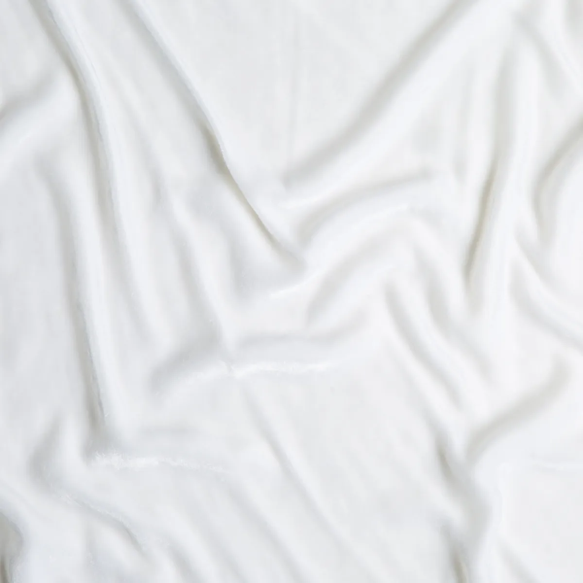 Silk Velvet Swatch