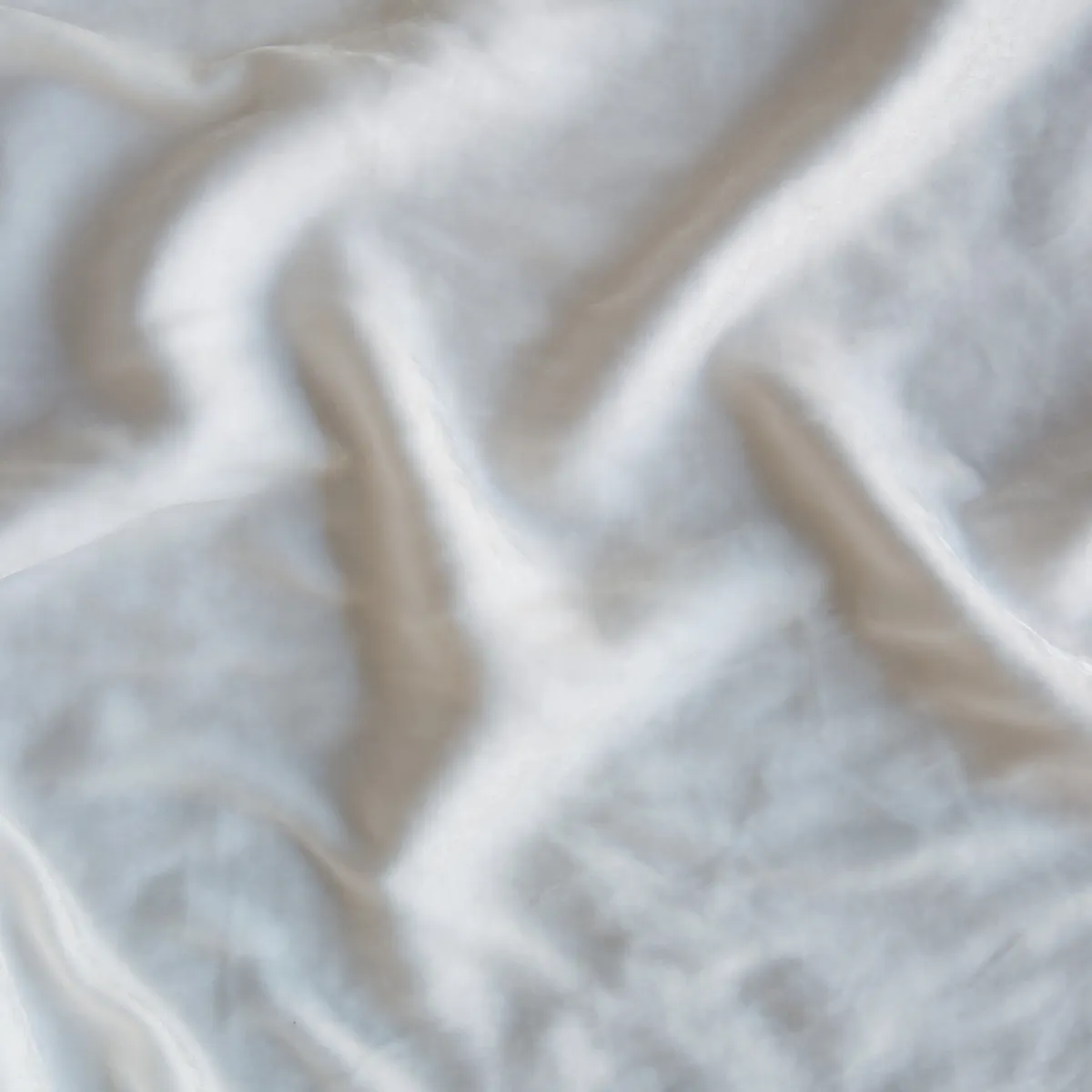 Silk Velvet Swatch