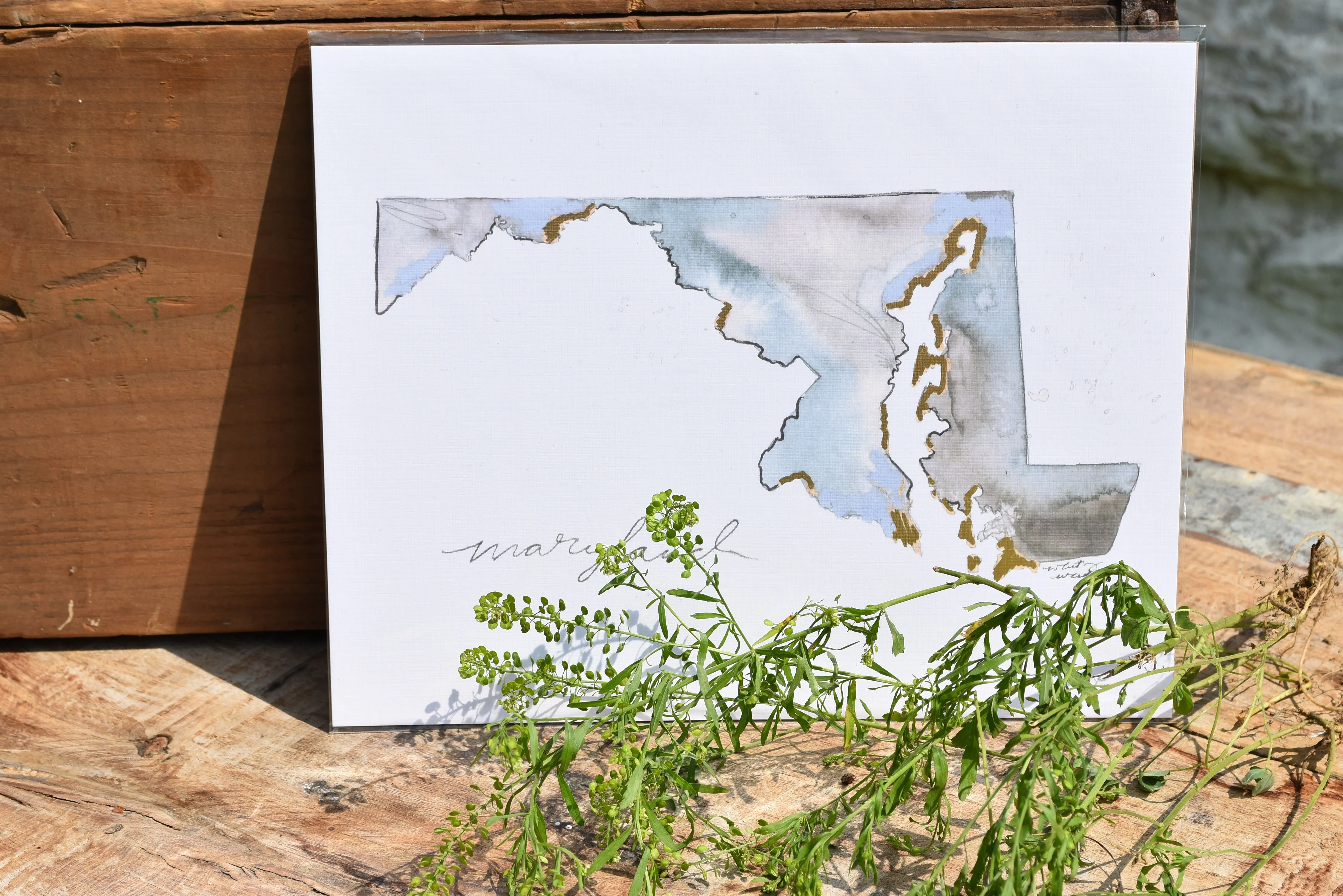 State Watercolor by Local Artist, multiple styles
