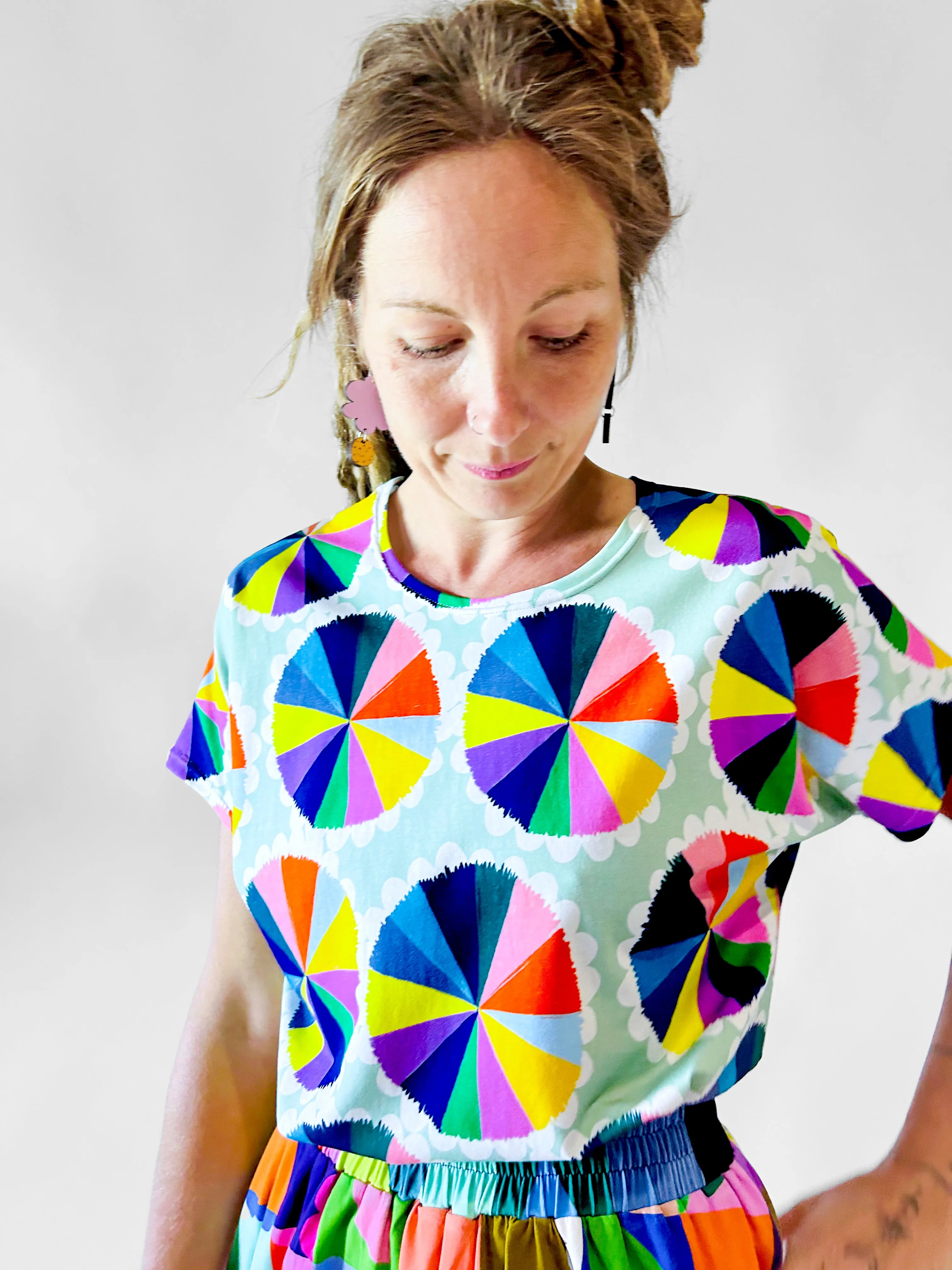 The Artist Colour Wheel