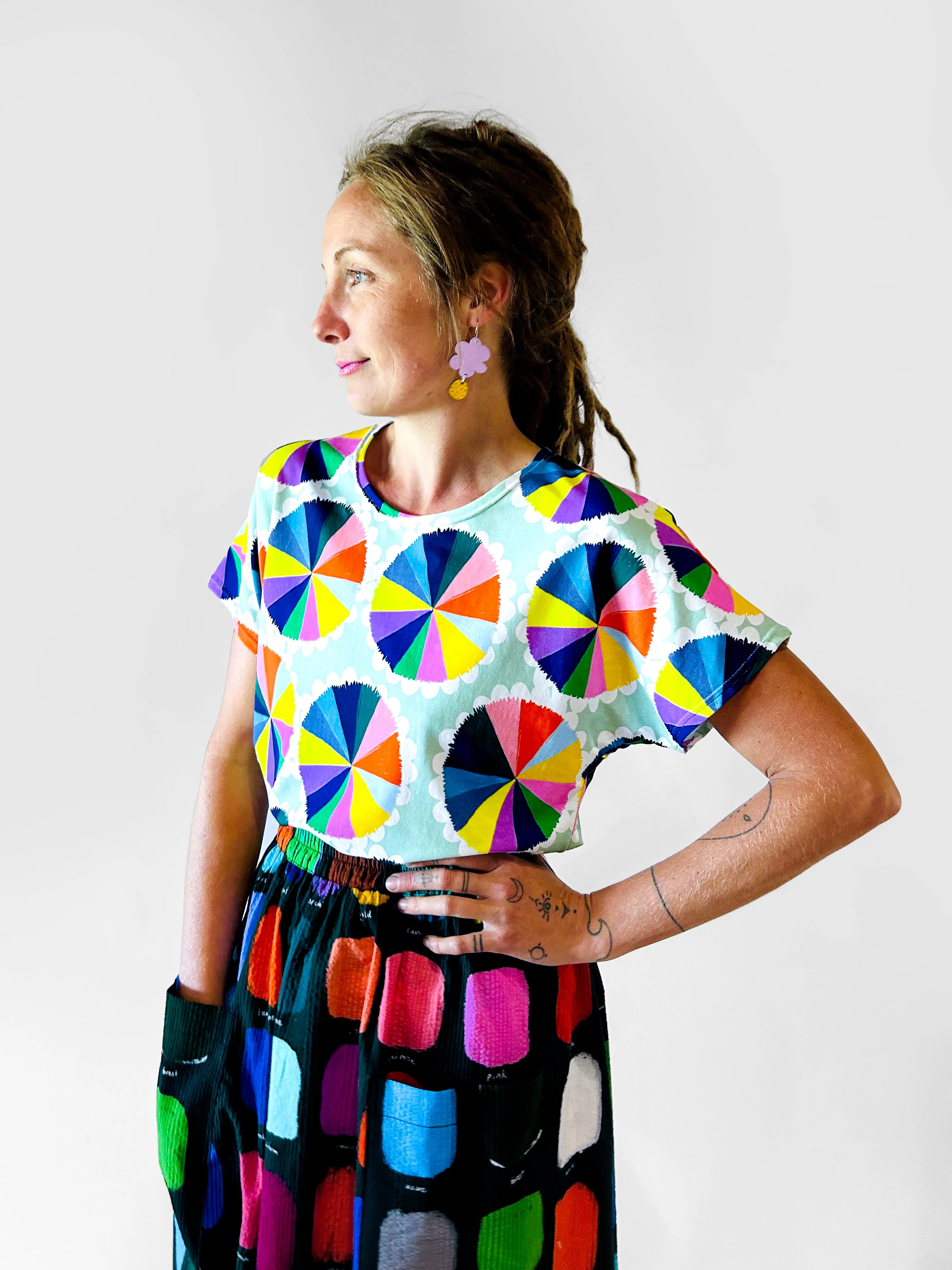 The Artist Colour Wheel