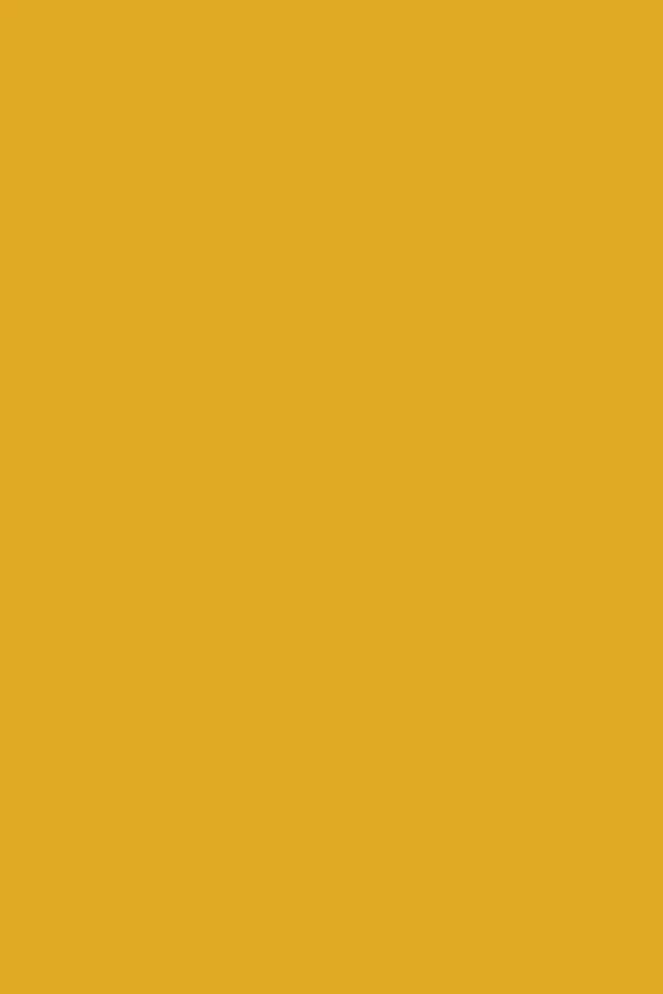 The Collector in Mustard