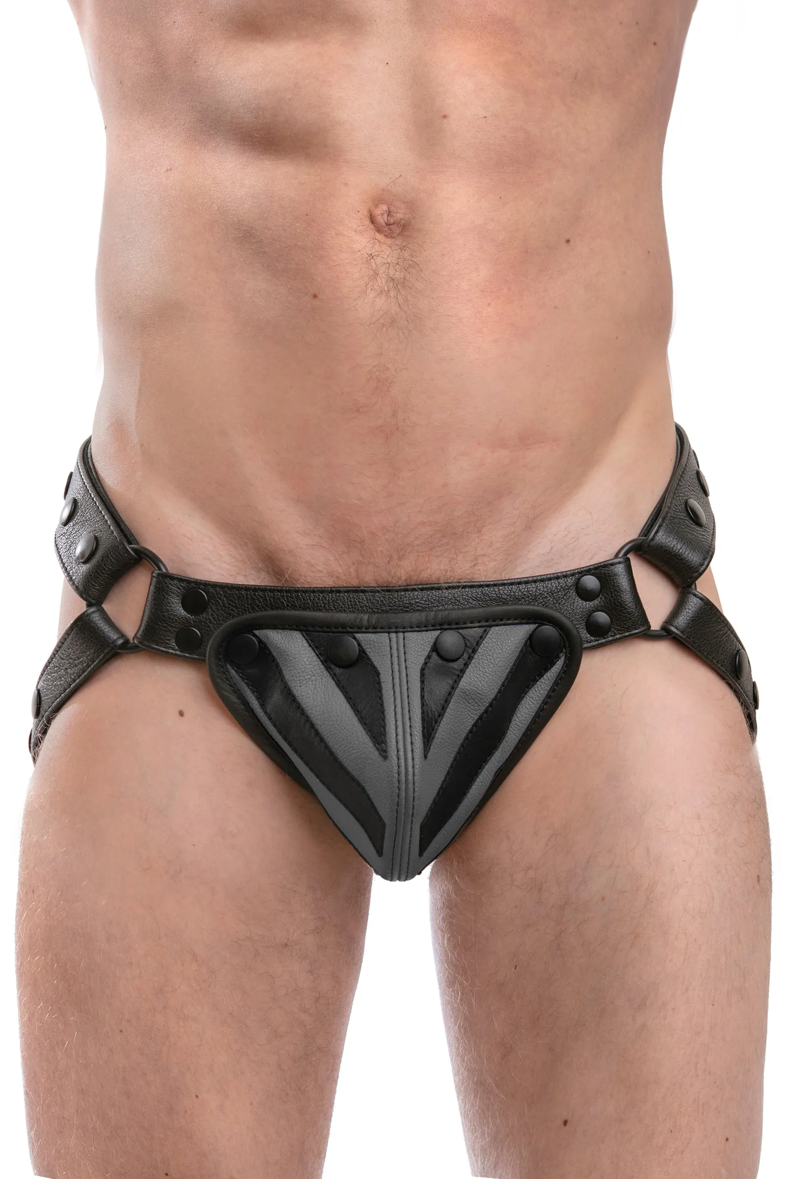 TIGER JOCK - Colour