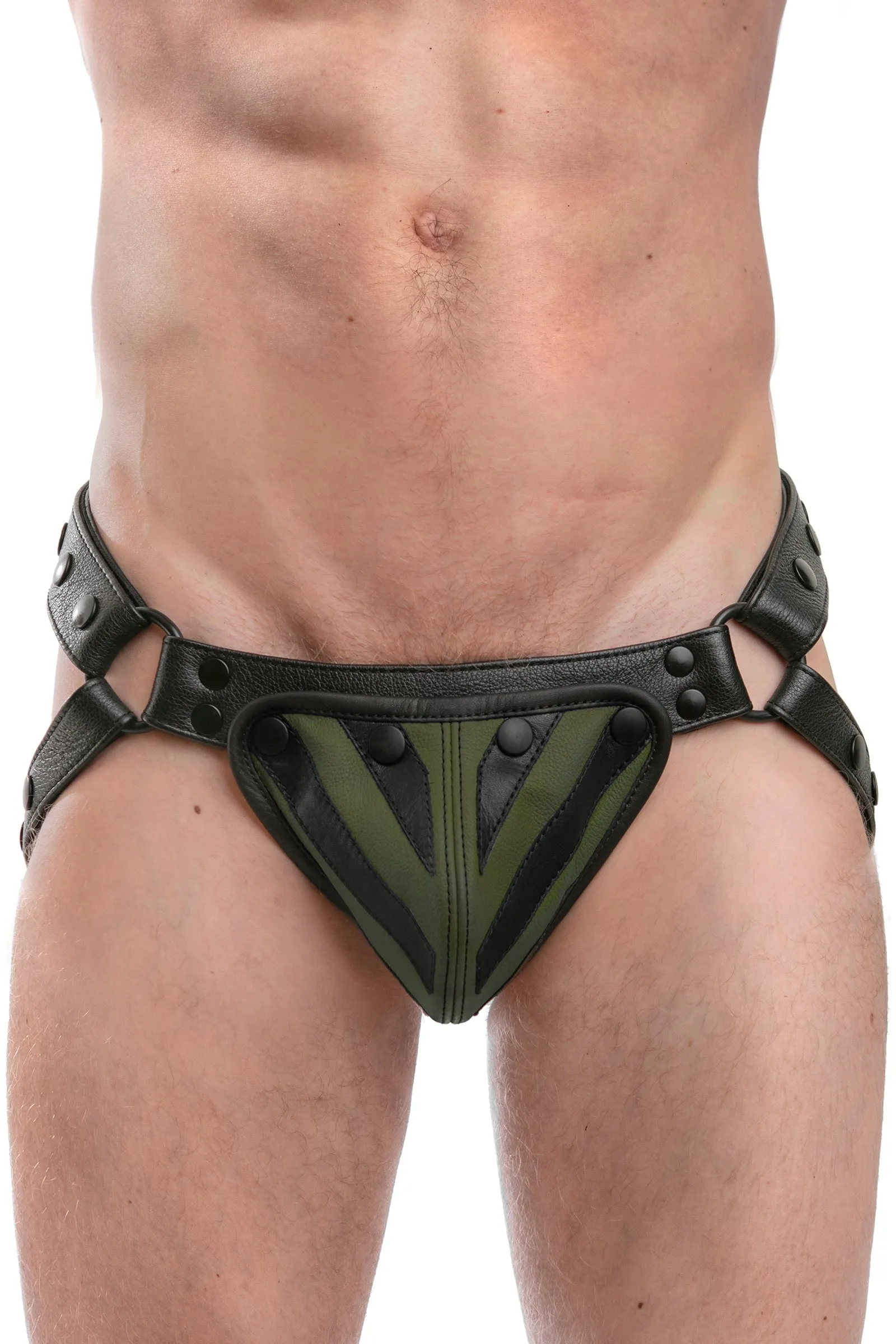 TIGER JOCK - Colour