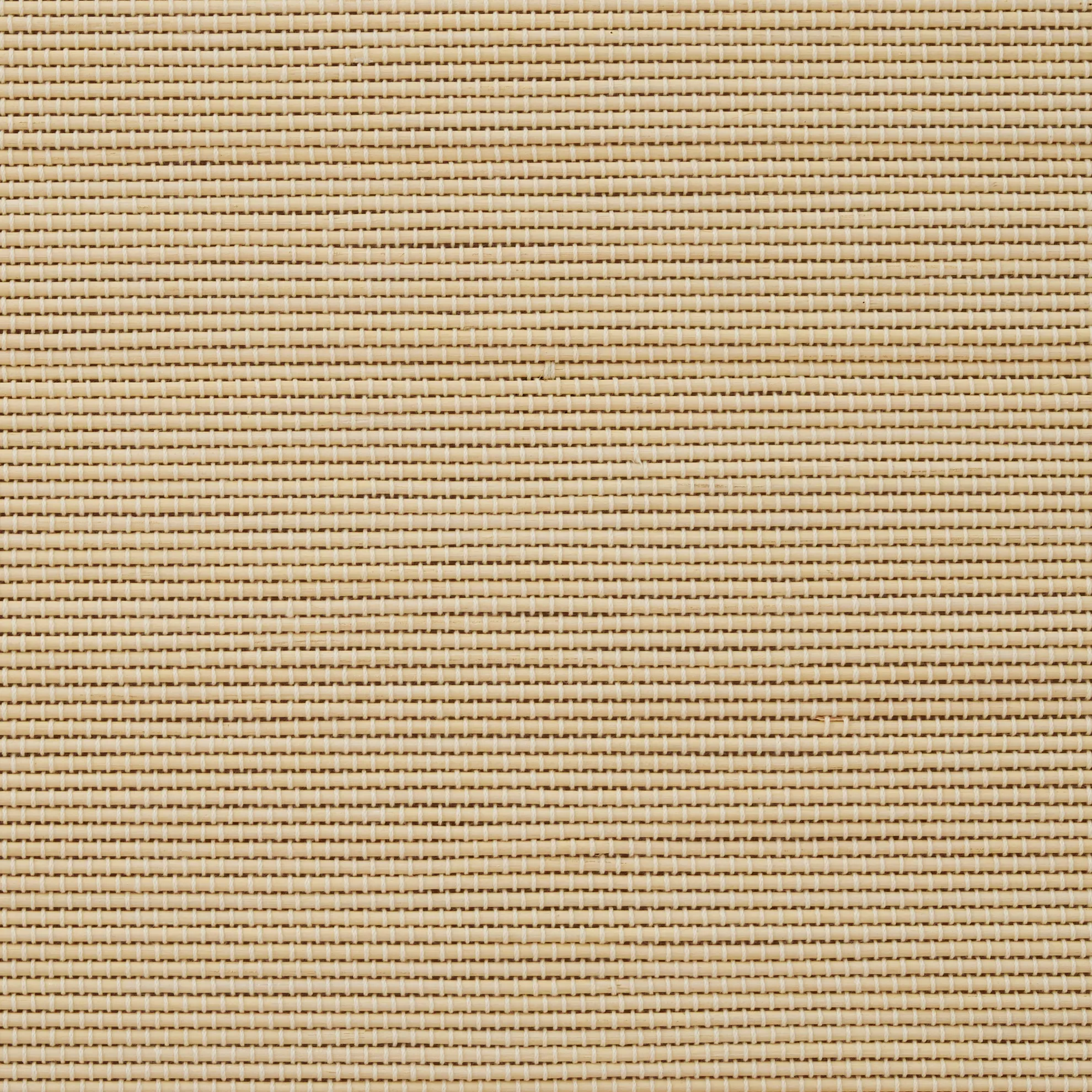 Tina Woven Bamboo Shade| Ivory White