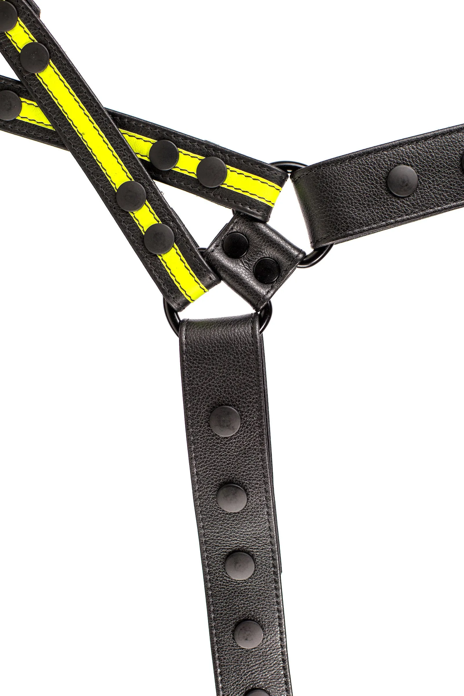 UNIVERSAL X HARNESS - Fluro Stripe