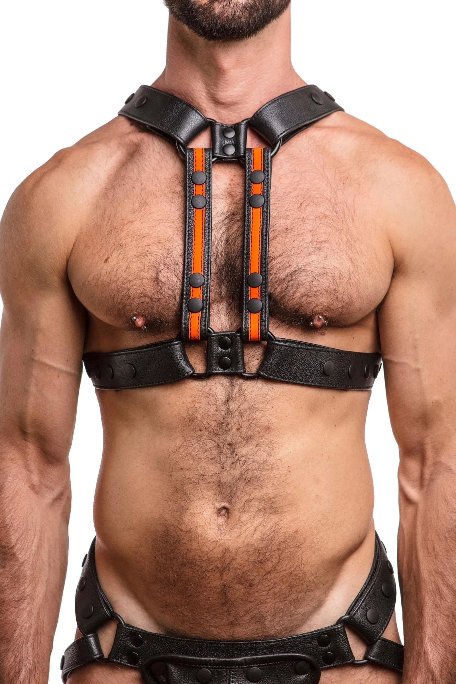 UNIVERSAL X HARNESS - Fluro Stripe