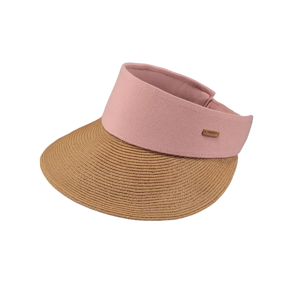 Vesder Visor