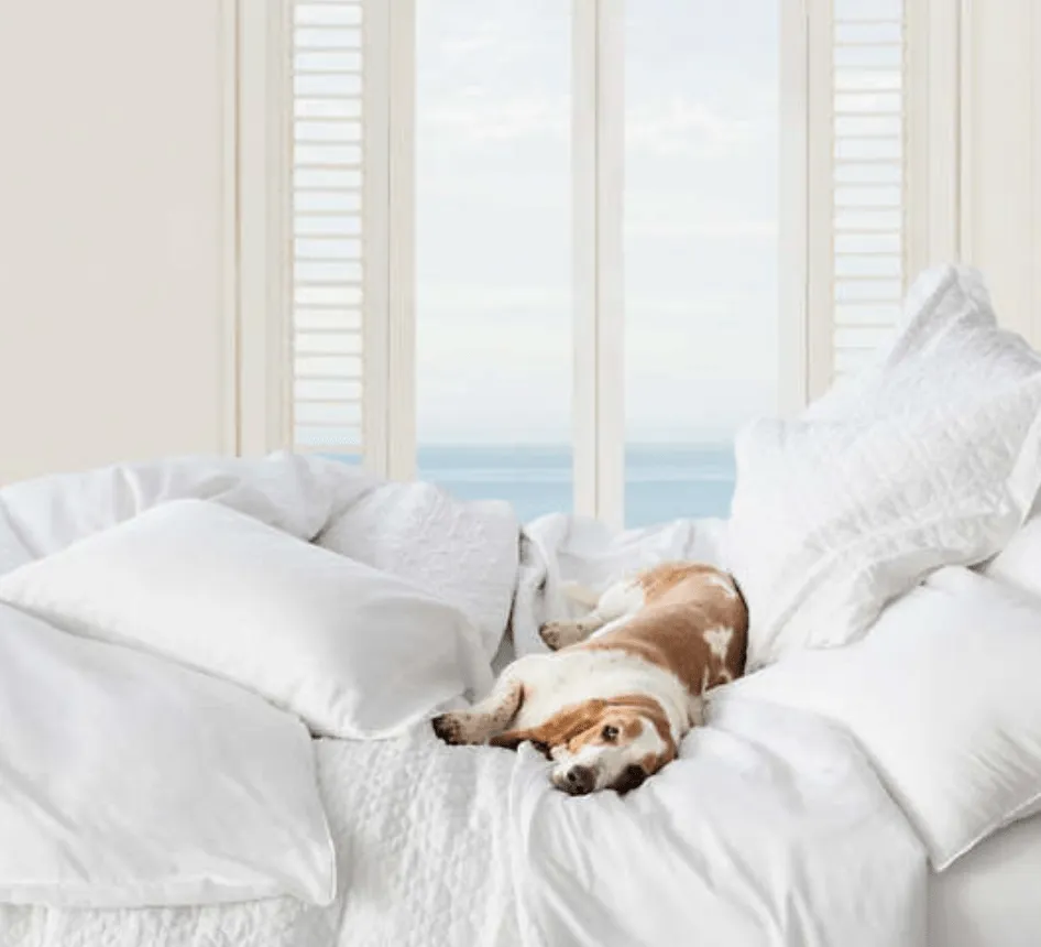 Washed Linen Quilt - White
