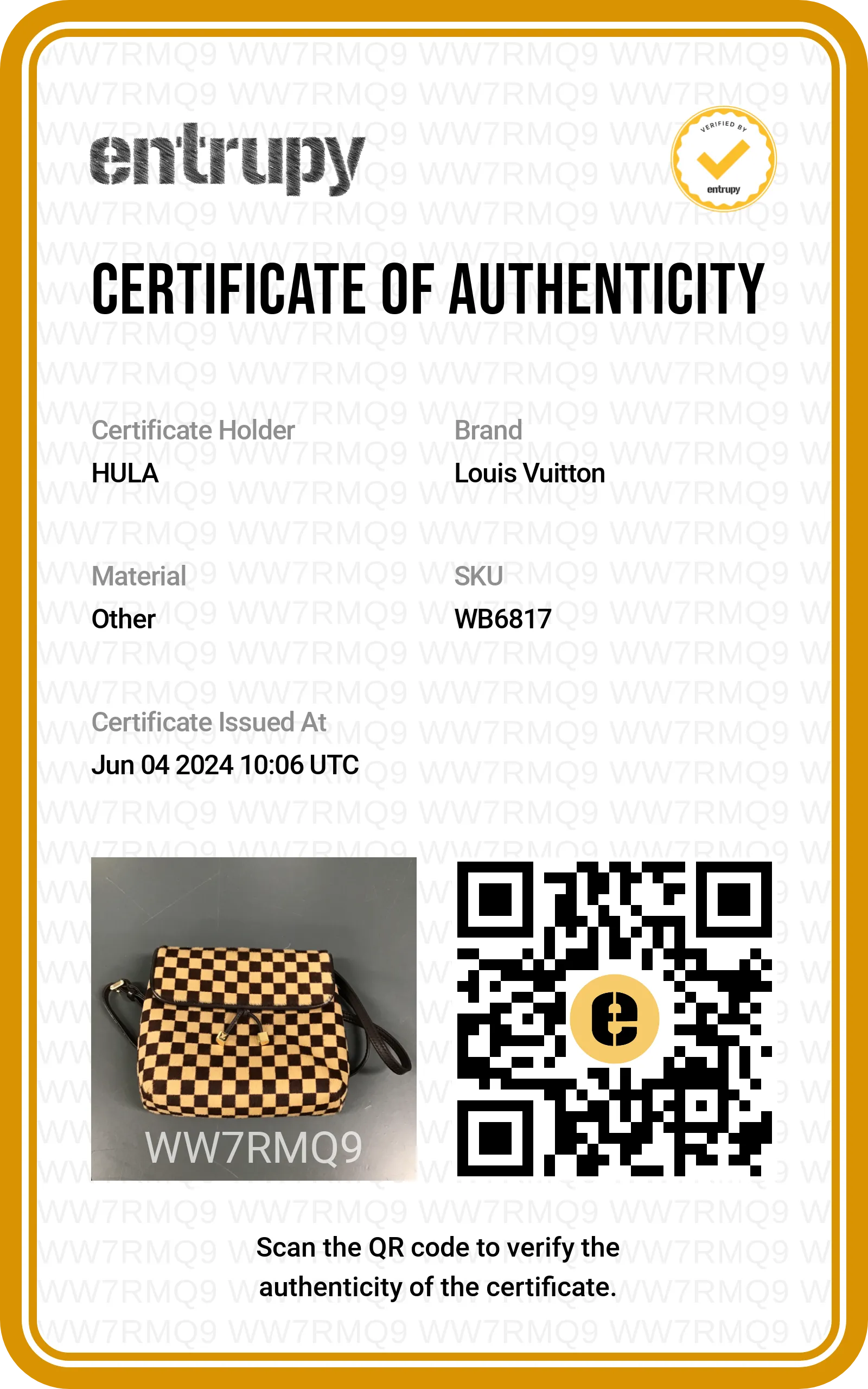 [WB6817] Louis Vuitton | Shoulder Bag