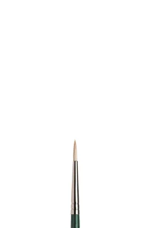 WINTON Brush Bristle-  ROUND 2 Long handle