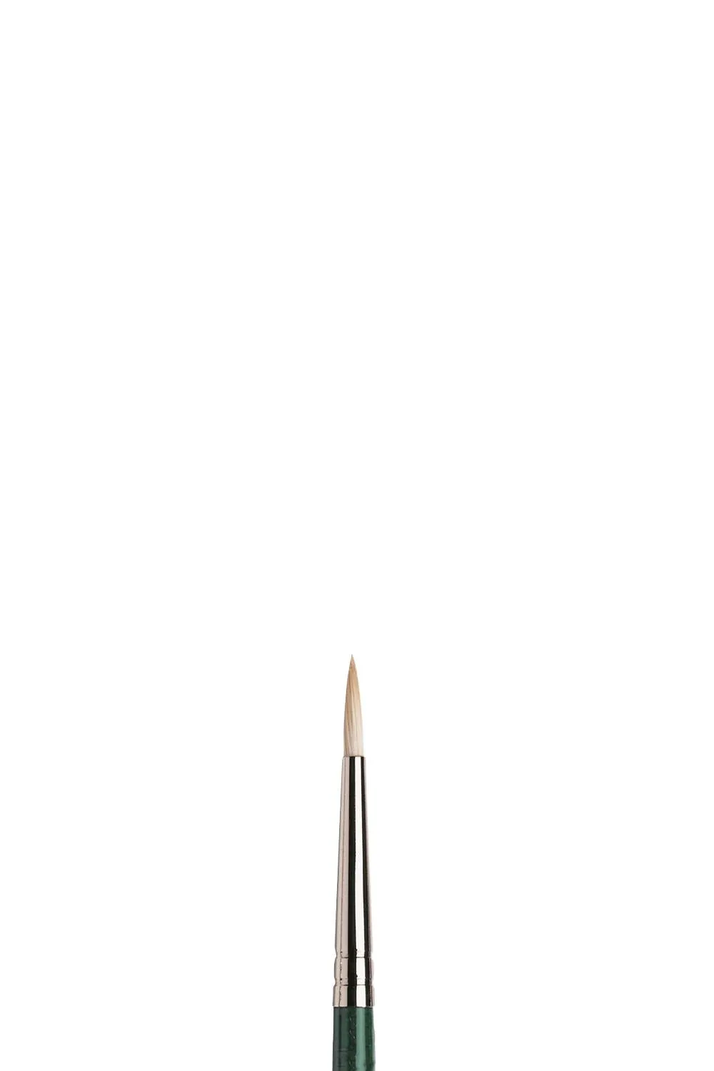 WINTON Brush Bristle-  ROUND 2 Long handle